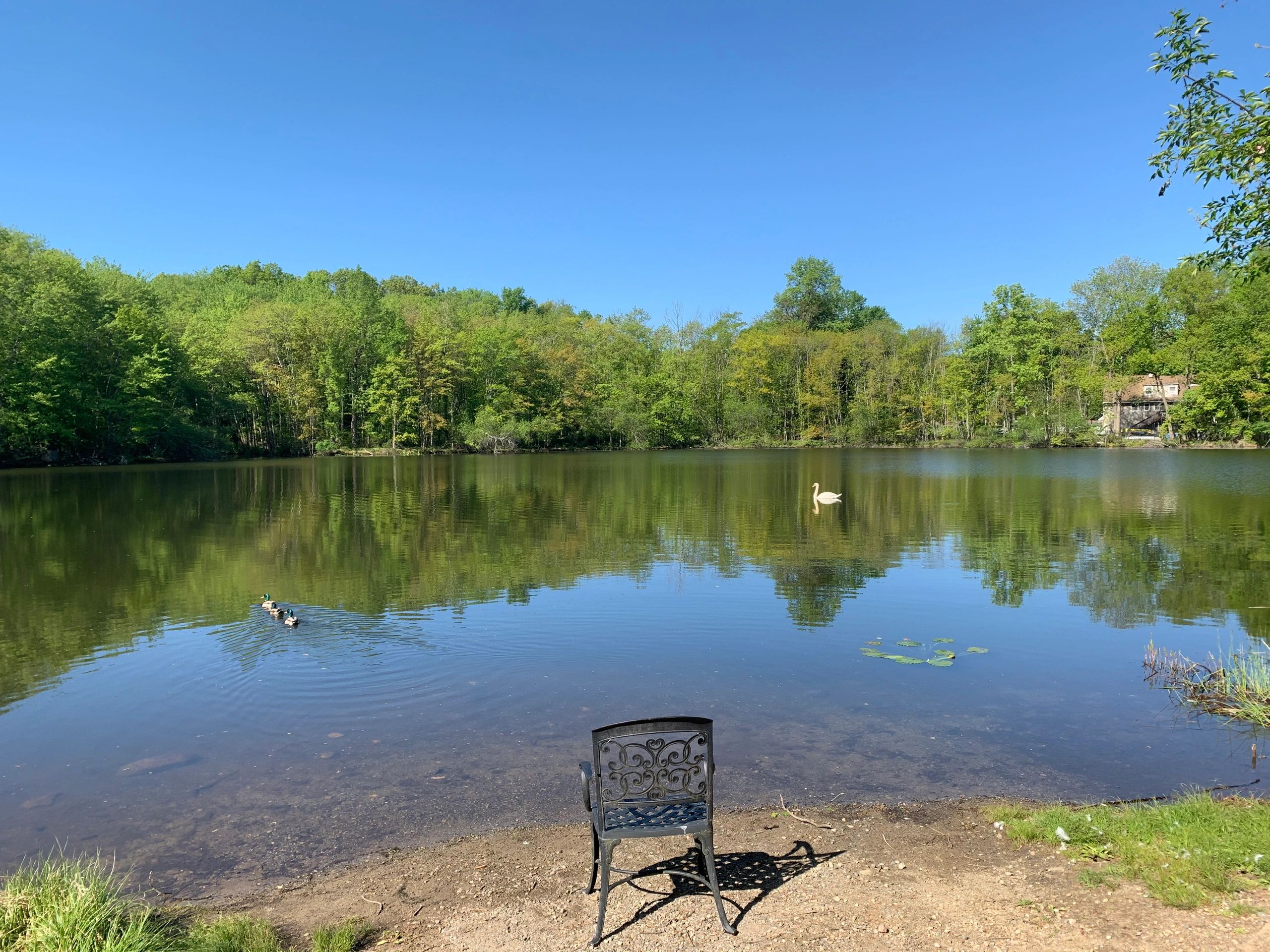 Screen Door Submarine